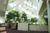 Best Western Royal Plaza Hotel And Conference Center::Travelocity.com