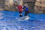 SeaWorld Adventure Park, San Diego::Chris Photo's Flickr