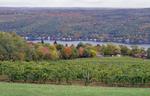 Bully Hill Vineyards