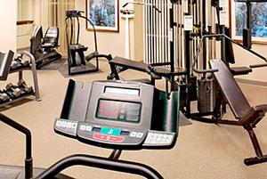 Web-fsd_sher-fitns-1