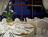 The Grove Isle Hotel and Spa from Orbitz