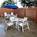 Fairfield Inn by Marriott Texas City::ProfessionalTravelGuide.com