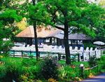 Lone Oak Point