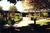 Best Western Sunridge Inn::Expedia