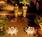 Stanford Park Hotel::ProfessionalTravelGuide.com