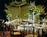 Hyatt Grand Champions Resort::Priceline.com