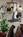 Travelodge Colorado Springs::Orbitz