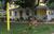 Homestead at Rehoboth Bed and Breakfast::PinkChoice