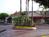 Residence Inn by Marriott Anaheim Maingate::DogFriendly.com