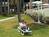 El Caribe Resort and Conference Center::Hotels.com