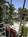 The Schubert Resort - A Gay Resort::ProfessionalTravelGuide.com
