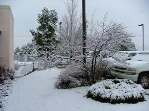 Web-2055080-fairfield_inn_by_marriott_flagstaff-flagstaff