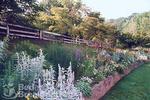 Hawk and Ivy Holistic Country B&B and Retreat