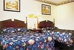 Tn-423044_12_b