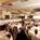 Best Western East Mountain Inn & Suites::Priceline.com