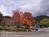 Nuwray Inn::BedAndBreakfast.com
