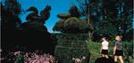 Ladew Topiary Gardens