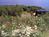 Alaska Adventure Cabins::BedAndBreakfast.com