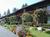 Holiday Lodge at the Heavenly Gondola and the Casinos::Hotels.com