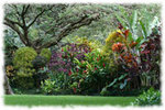 Waimea Arboretum and Botannical Garden