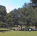 Boston Common