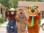 Yogi Bear's Jellystone Camp Resort at Natural Bridge
