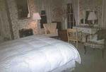 Tn-zz_25731-broom-1