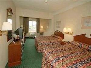 Web-020251c