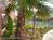 Holiday Inn Sunspree Galveston::Priceline.com