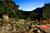 Deer Crossing Inn::BedAndBreakfast.com