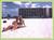 Island Inn Beach Resort::ProfessionalTravelGuide.com