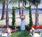 Best Western Jamaica Bay Inn::Hotels.com