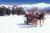 The Lodge at Bretton Woods::Orbitz