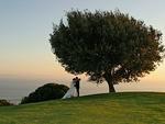 Los Verdes Golf and Country Club