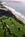 Hilton La Jolla Torrey Pines::Expedia