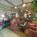 Krystal Aire Inn and Suites::Orbitz