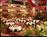 Radisson Opryland::Priceline.com