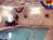 Comfort Suites Miamisburg::Orbitz
