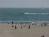 Venice Beach Suites And Hotel from Expedia