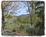 Mountain Laurel Creek Inn and Spa::BedAndBreakfast.com