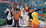 Tn-six-flags-magic-mountain-in-los-angeles-1