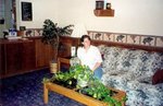 Super 8 Motel - Bedford DFW Airport West::Yahoo! Travel