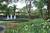 Super 8 Motel -Covington::ProfessionalTravelGuide.com