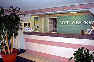 Web-038919b