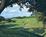 The Bandit Golf Club from Banditgolfclub.com