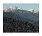 Red Buttes Wilderness