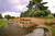 Doral Arrowwood Spa::ProfessionalTravelGuide.com