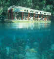 Silver Springs