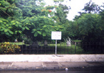 Old Jewish Cemetery (The)