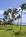Kiahuna Plantation Resort::Orbitz